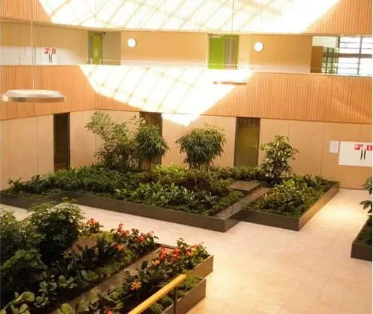 Plantenbakken
